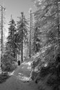 Monochrome view of a hiking trail to GrzeÃâº